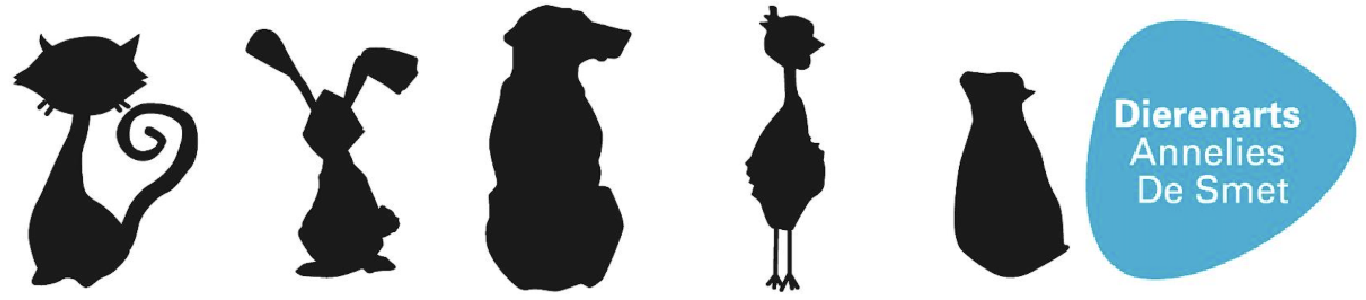 Dierenarts Annelies Desmet